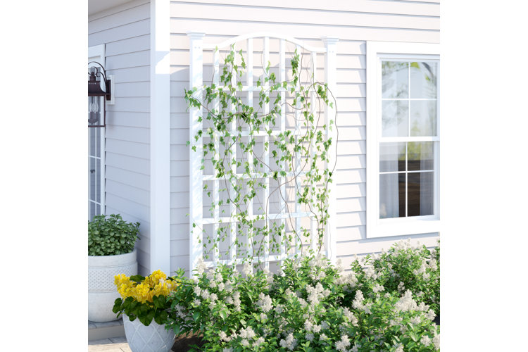 What Is a Trellis? Wayfair